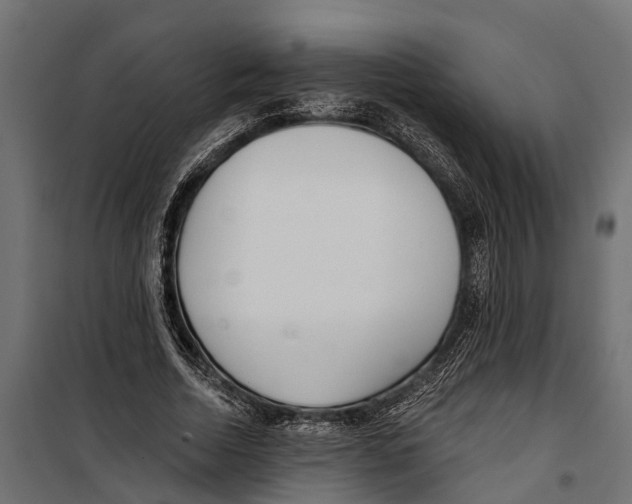 X0000099970730200806201401