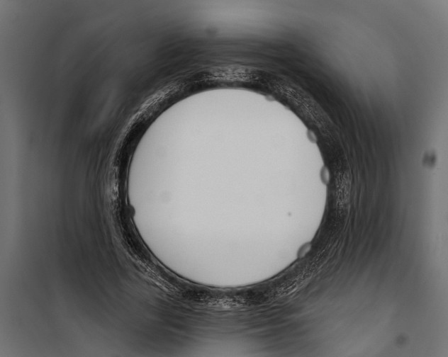 X0000099970731200806201401