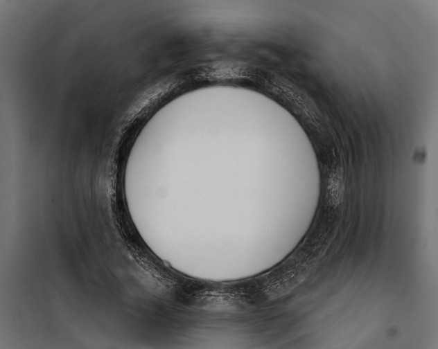 X0000099970732200806201401