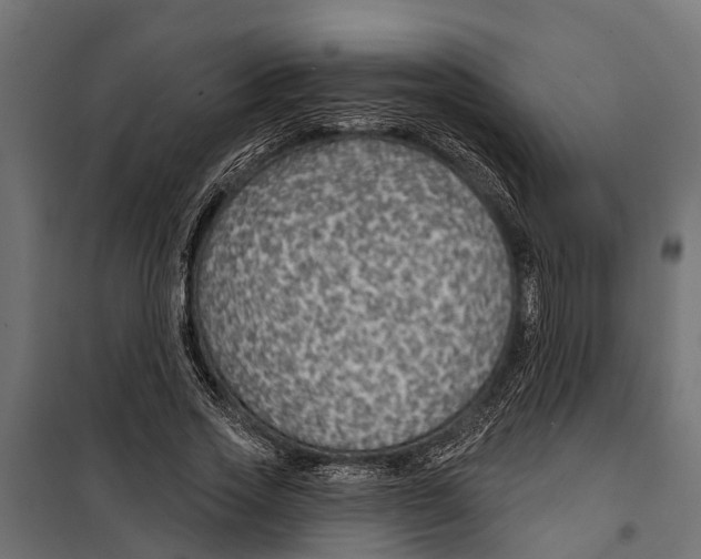 X0000099970733200806201401