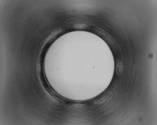 X0000099970734200806201401