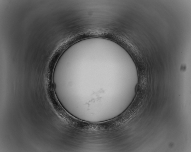 X0000099970736200806201401