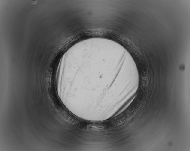 X0000099970739200806201401