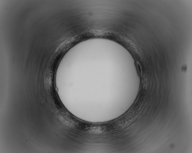 X0000099970740200806201401