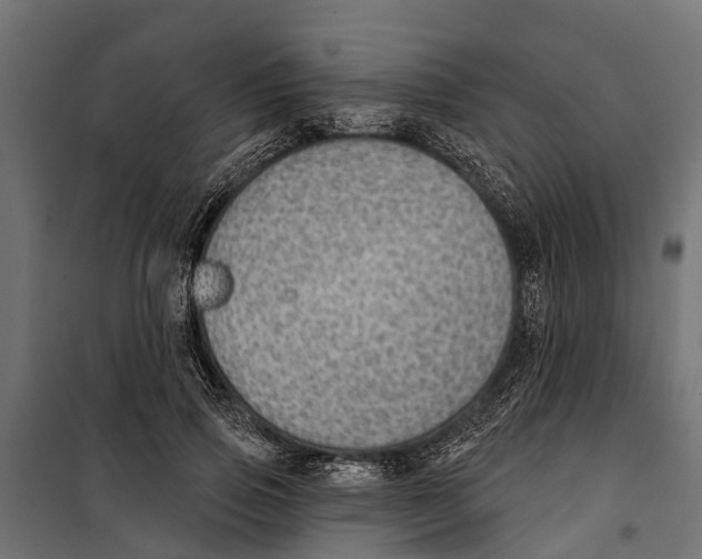 X0000099970741200806201401