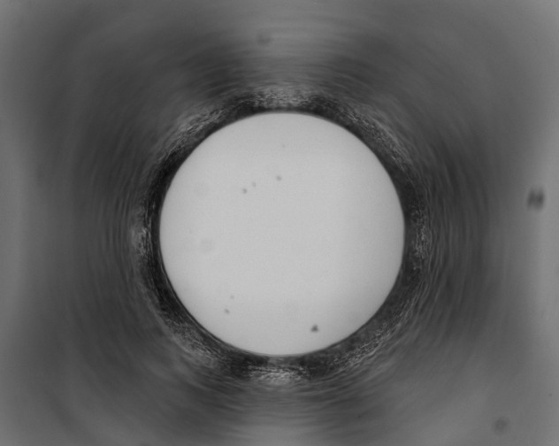 X0000099970743200806201401