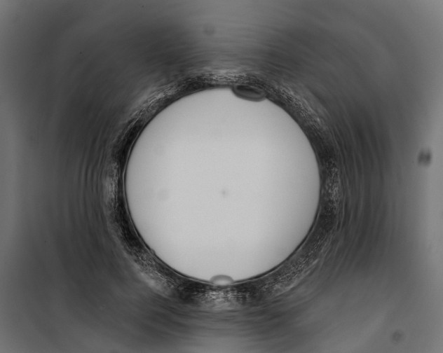 X0000099970744200806201401