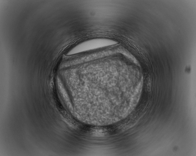 X0000099970746200806201401