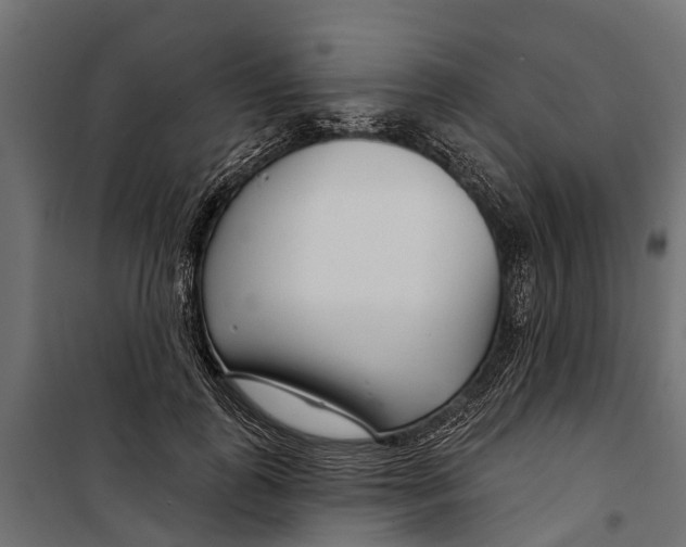 X0000099970747200806201401