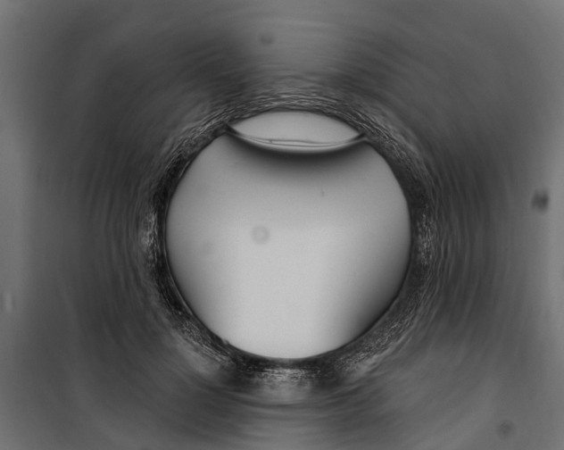 X0000099970748200806201401