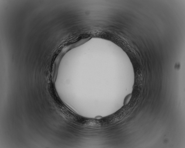 X0000099970750200806201401