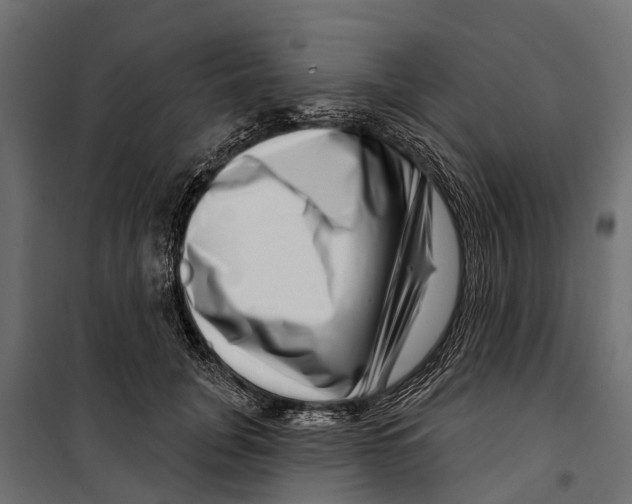 X0000099970751200806201401