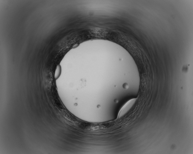 X0000099970752200806201401