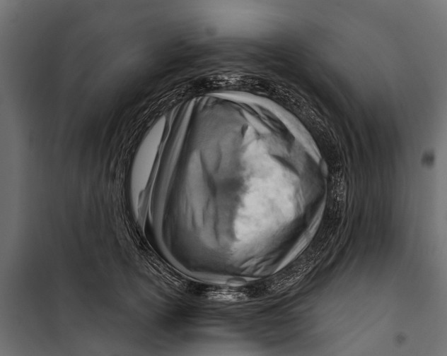 X0000099970754200806201402