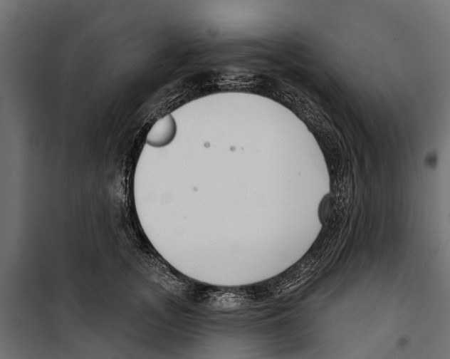 X0000099970755200806201402