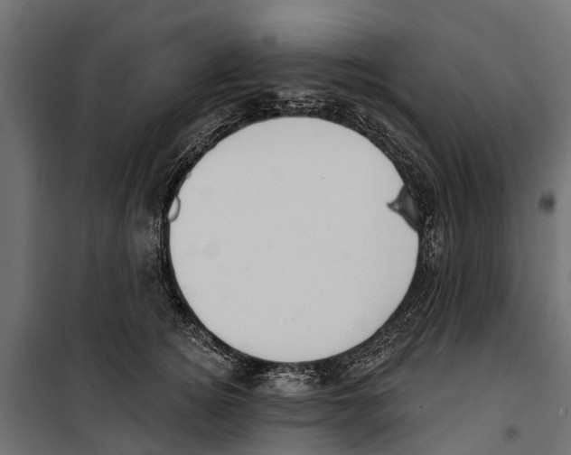 X0000099970756200806201402