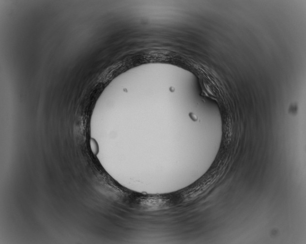 X0000099970759200806201402