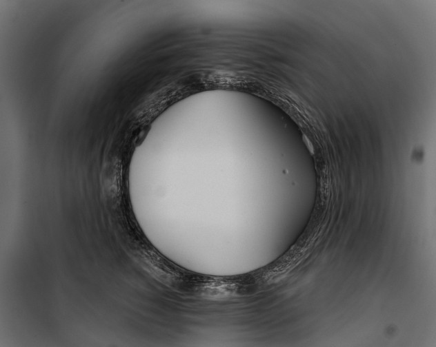 X0000099970760200806201402