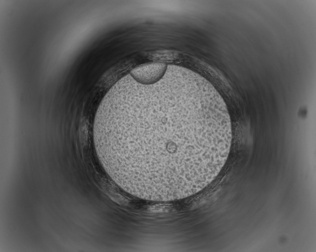 X0000099970761200806201402