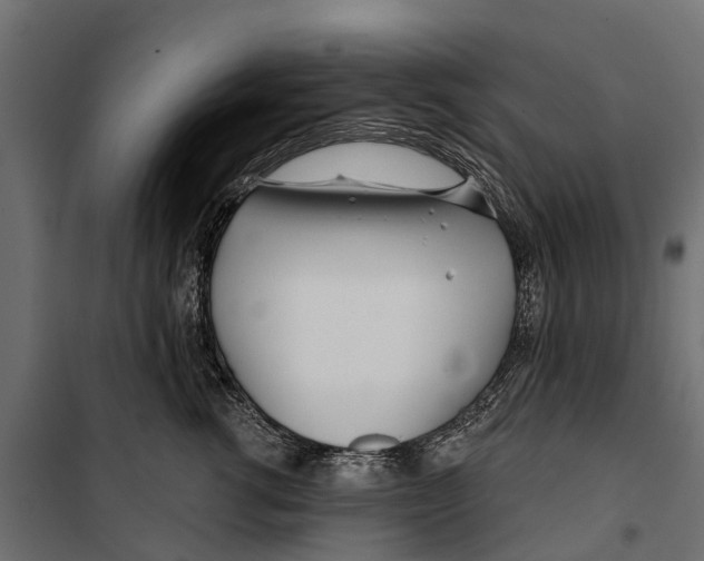 X0000099970762200806201402