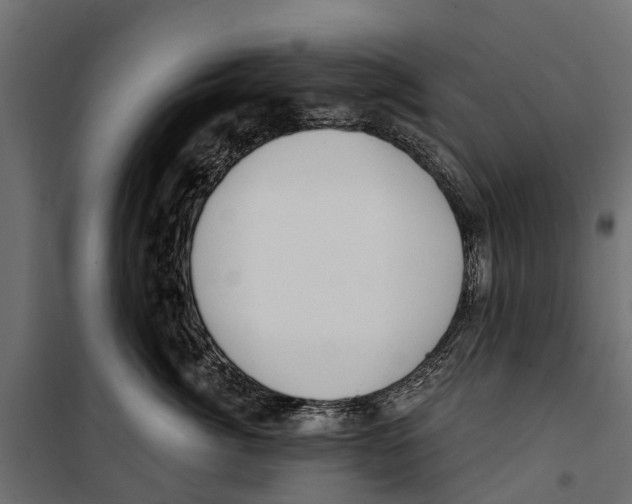 X0000099970764200806201402