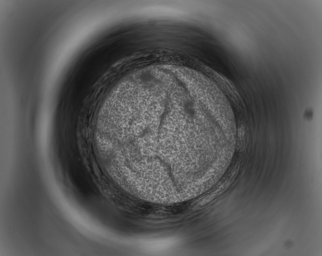 X0000099970765200806201402