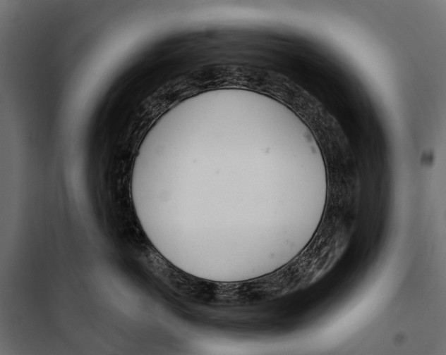 X0000099970766200806201402