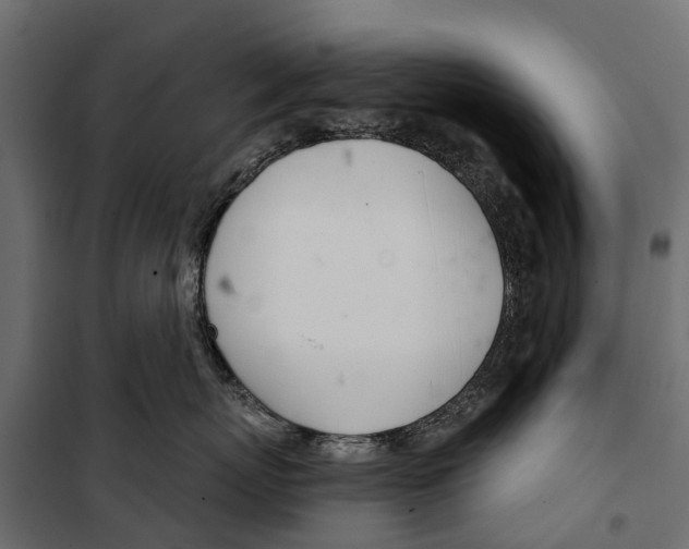 X0000099970767200806201402