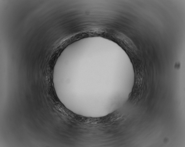 X0000099970773200806201401