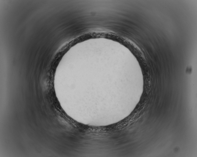 X0000099970775200806201401