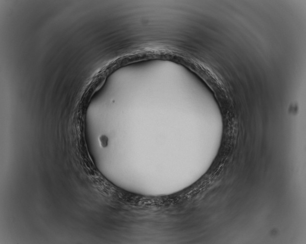 X0000099970776200806201401