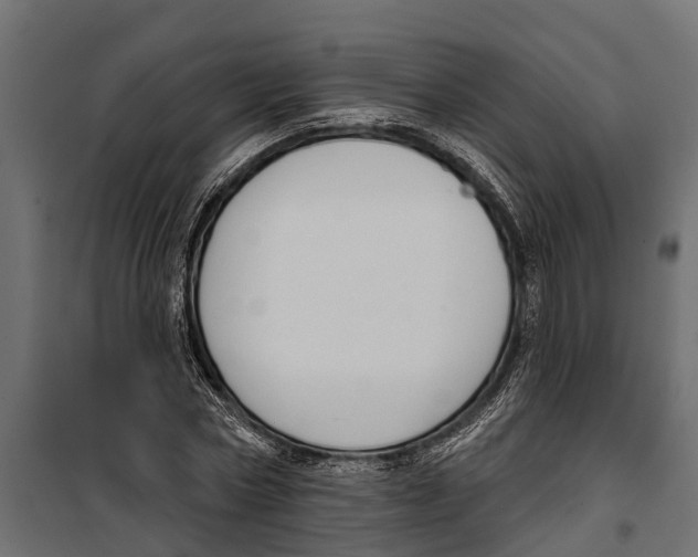 X0000099970778200806201401