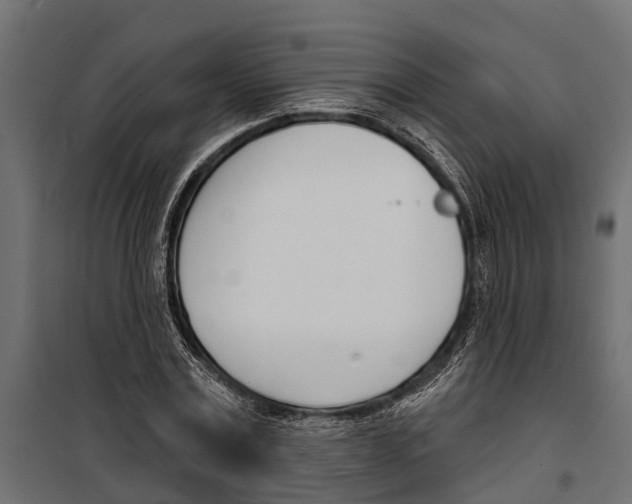 X0000099970779200806201401