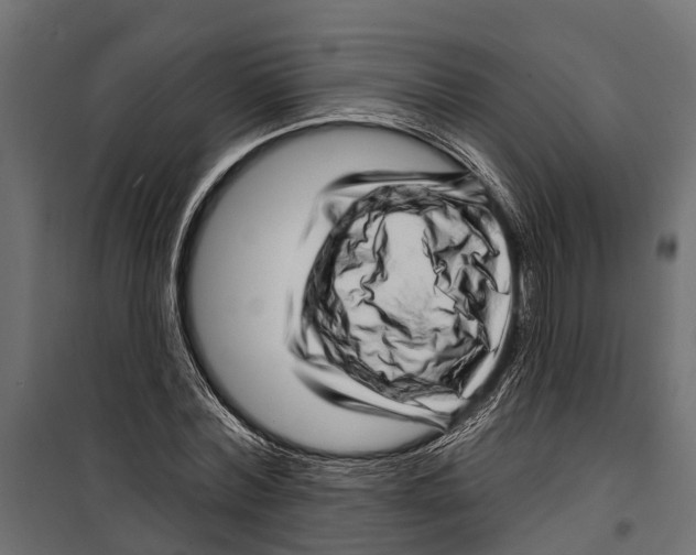 X0000099970780200806201401