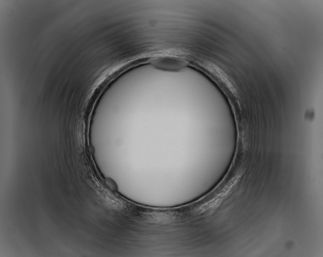 X0000099970781200806201401