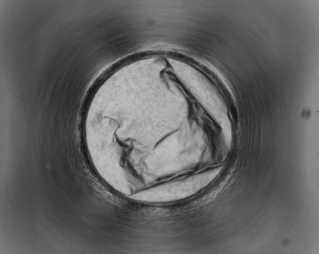 X0000099970783200806201401