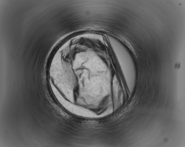 X0000099970784200806201401