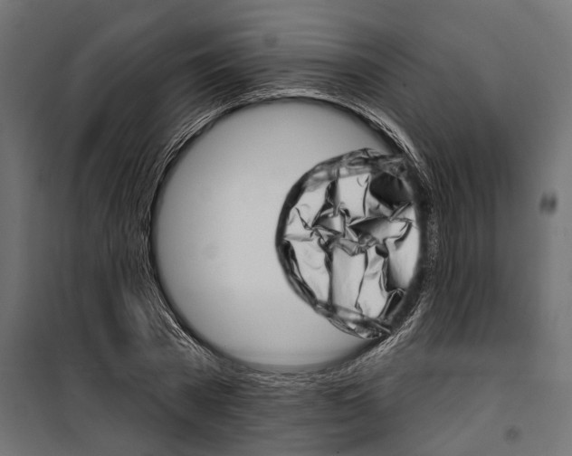 X0000099970785200806201401