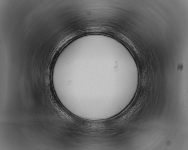 X0000099970786200806201401