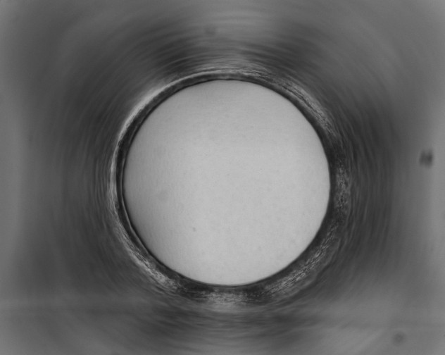 X0000099970788200806201401