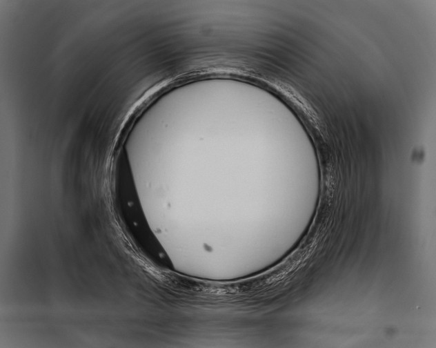 X0000099970790200806201401