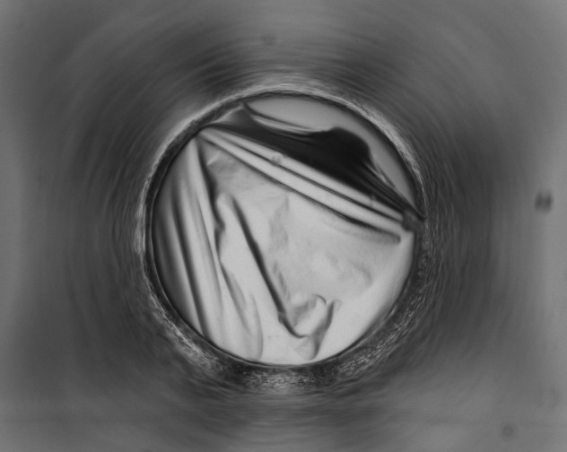 X0000099970791200806201401