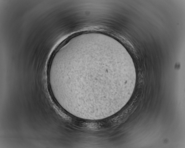 X0000099970792200806201401