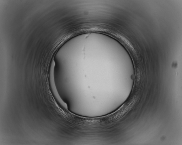 X0000099970793200806201401