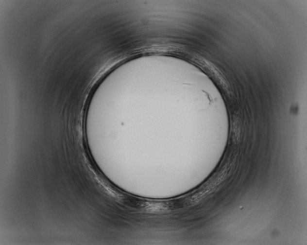 X0000099970794200806201401