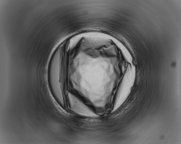 X0000099970795200806201401