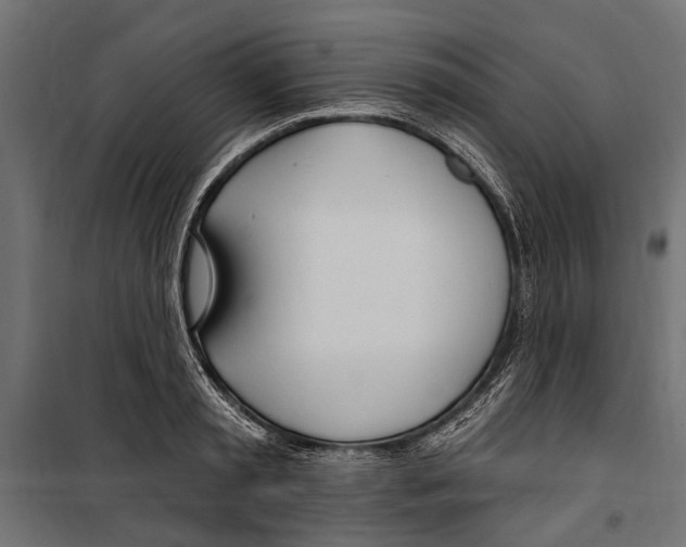 X0000099970797200806201401