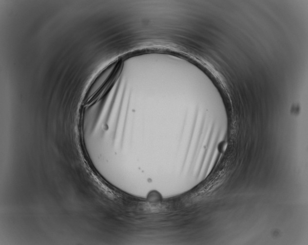 X0000099970799200806201401