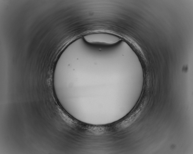 X0000099970801200806201401