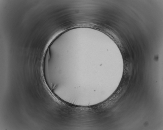 X0000099970804200806201400